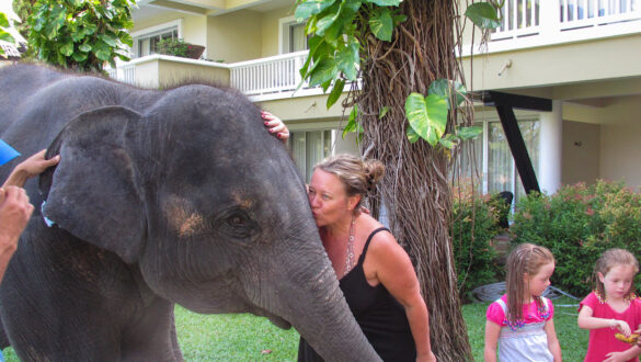 A woman is petting an elephant in a hotel