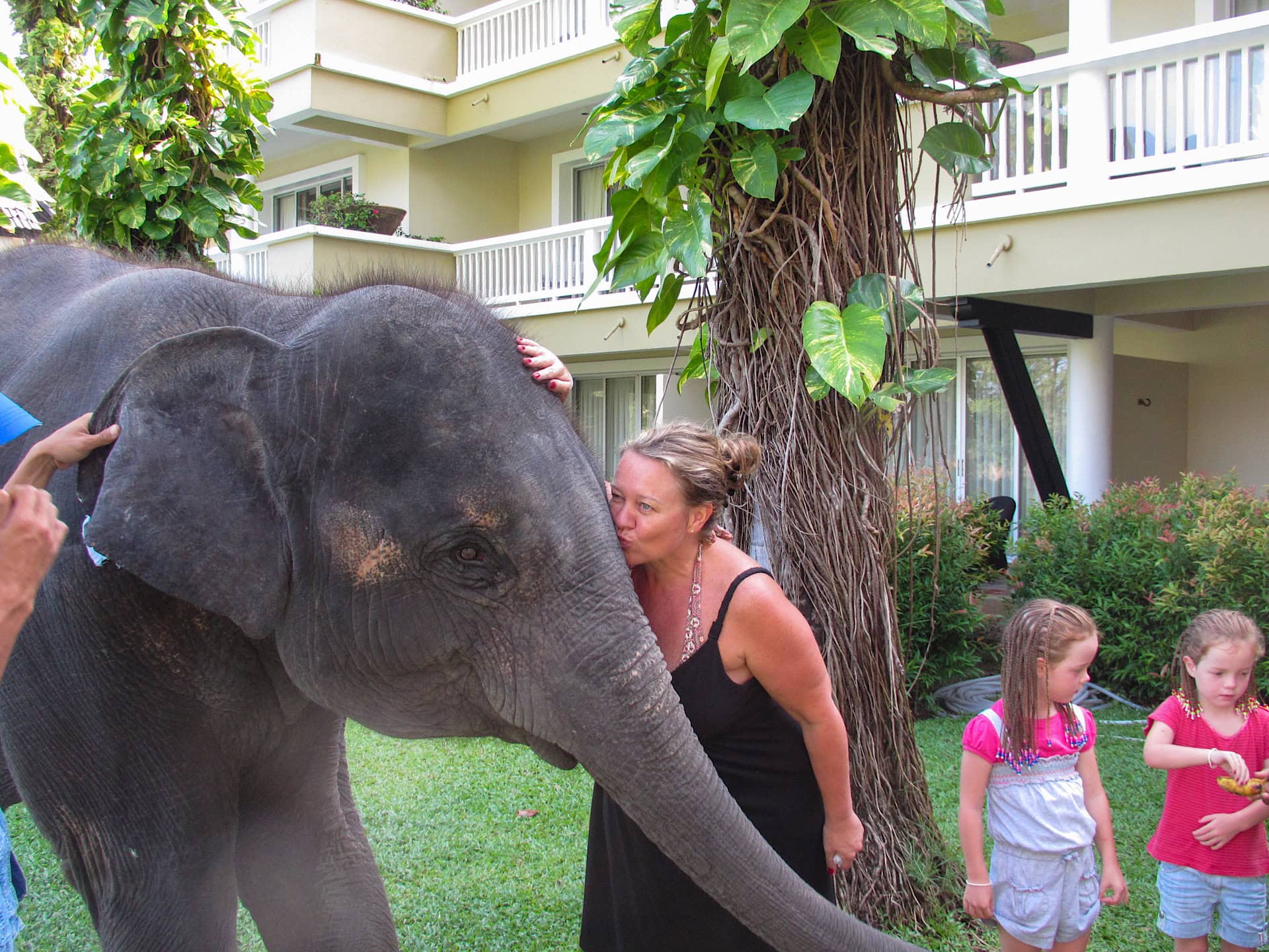 A woman is petting an elephant in a hotel